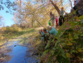 /album/fotogalereya/img-20240922-wa0143-jpg/